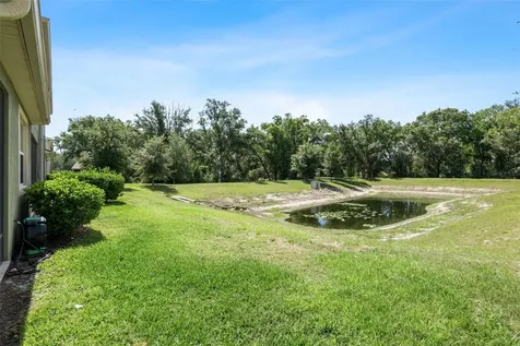 6250 Scarlet Darter Way Tampa FL 33625