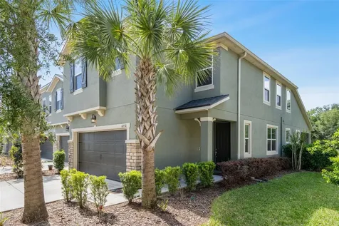 6250 Scarlet Darter Way Tampa FL 33625