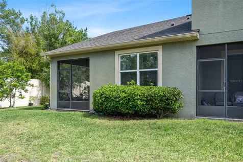6250 Scarlet Darter Way Tampa FL 33625