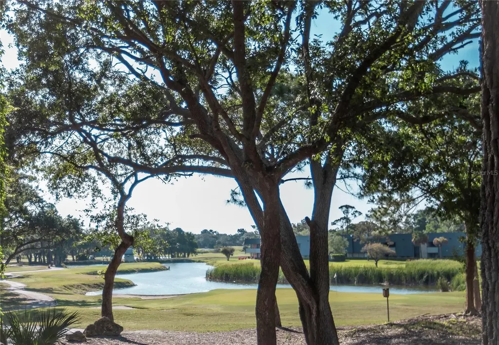 36750 Us 19 Palm Harbor FL 34684