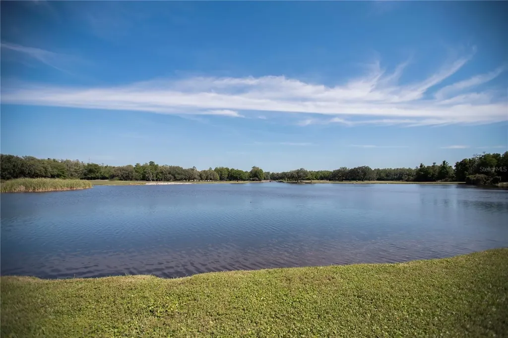 36750 Us 19 Palm Harbor FL 34684