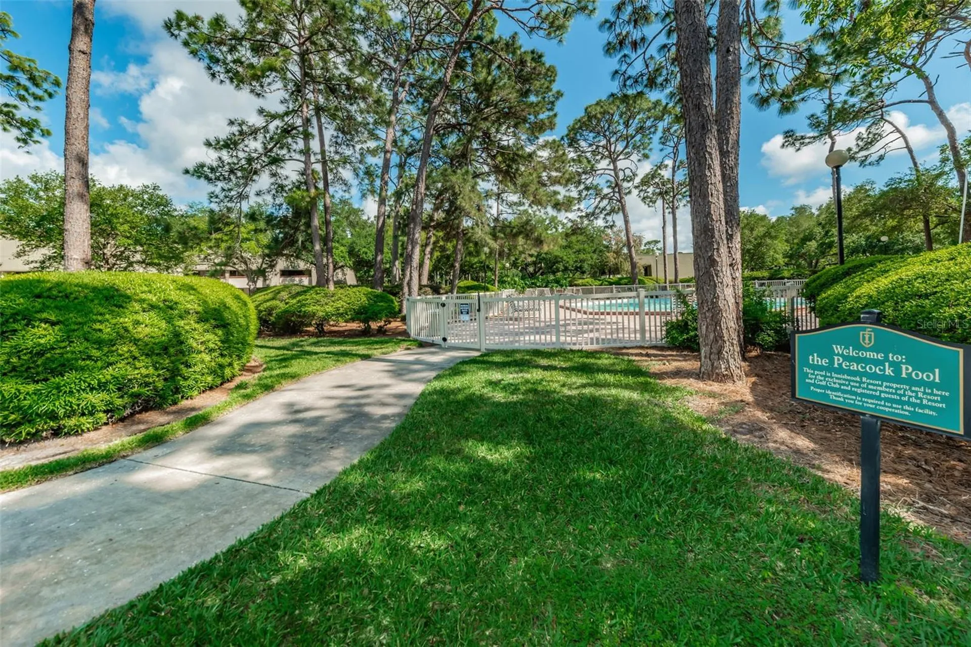 36750 Us 19 Palm Harbor FL 34684