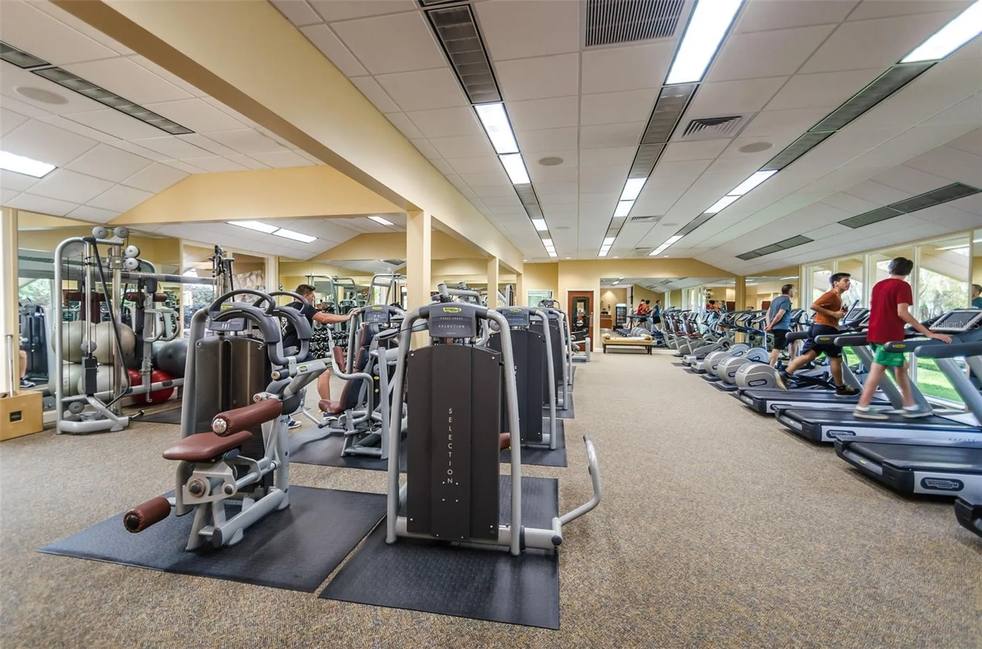 36750 Us 19 Palm Harbor FL 34684