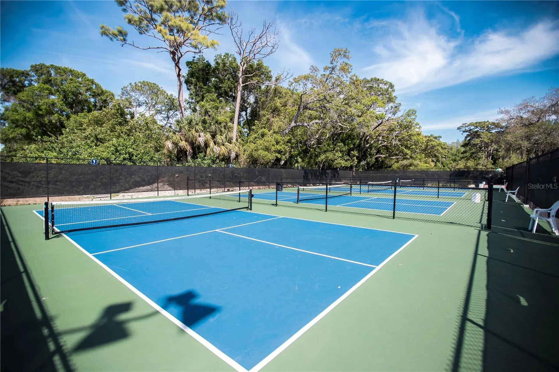 36750 Us 19 Palm Harbor FL 34684