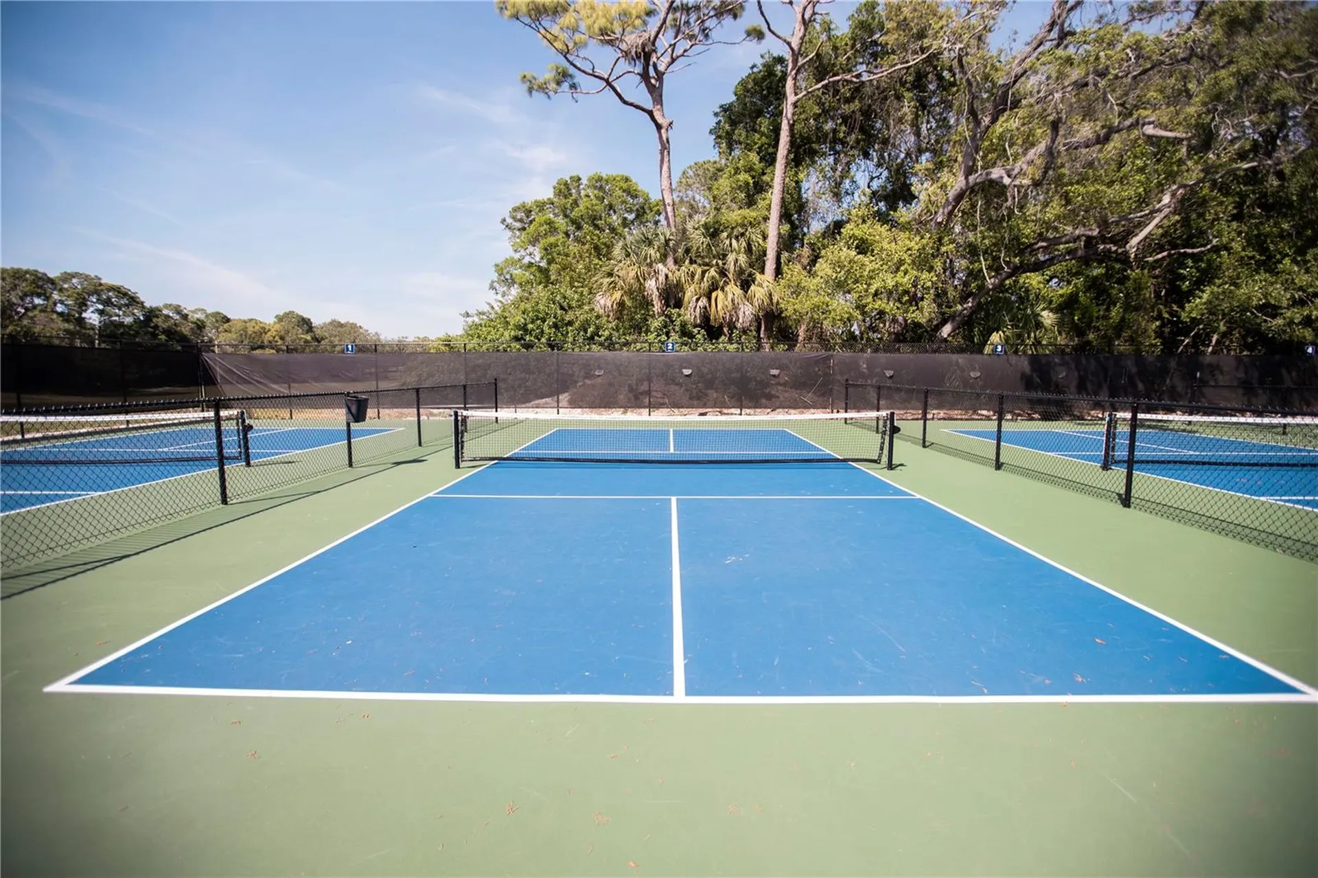 36750 Us 19 Palm Harbor FL 34684