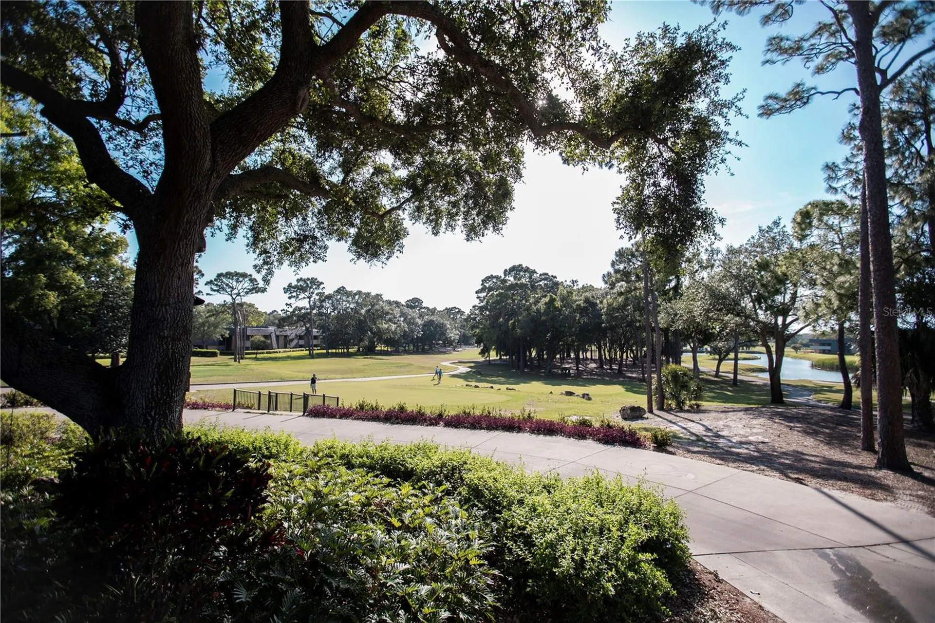 36750 Us 19 Palm Harbor FL 34684