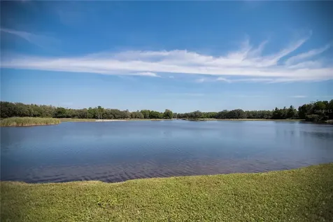 36750 Us 19 Palm Harbor FL 34684