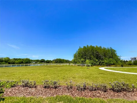 2259 Cerulean Sky Drive Lutz FL 33558