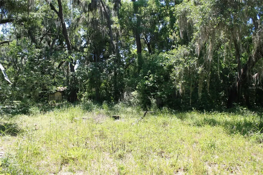 21646 NW 58th Court Micanopy FL 32667