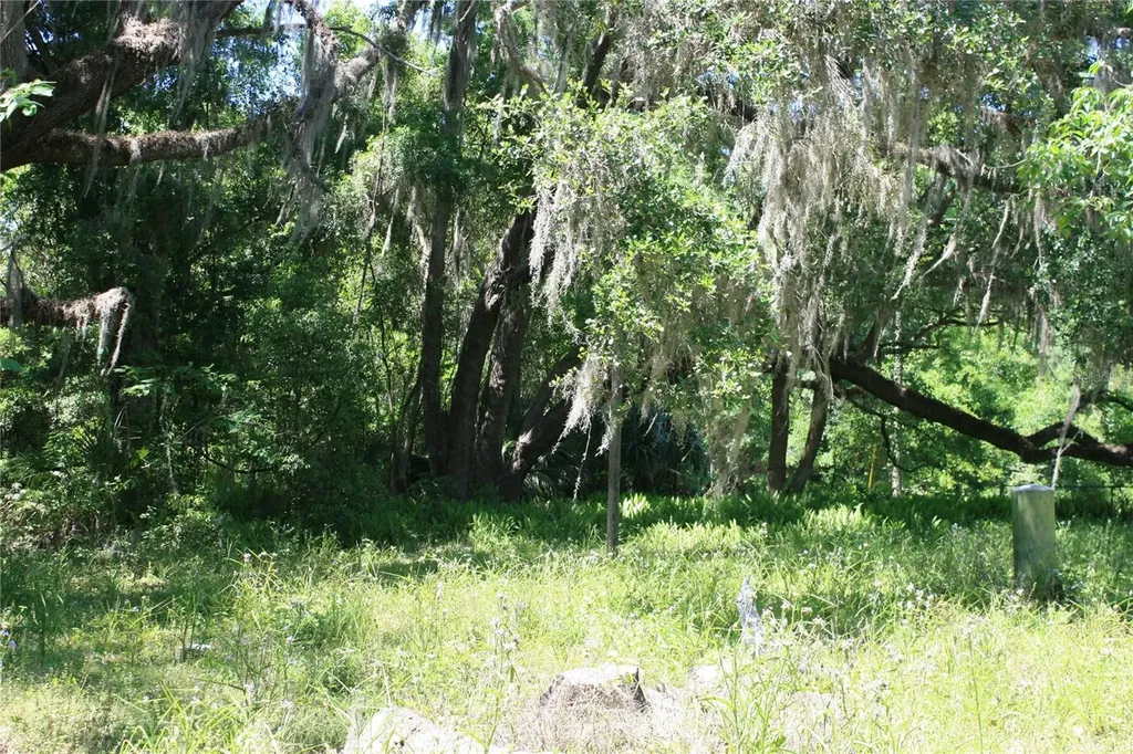 21646 NW 58th Court Micanopy FL 32667
