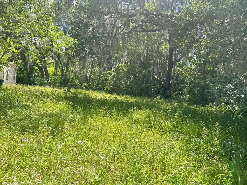21646 NW 58th Court Micanopy FL 32667