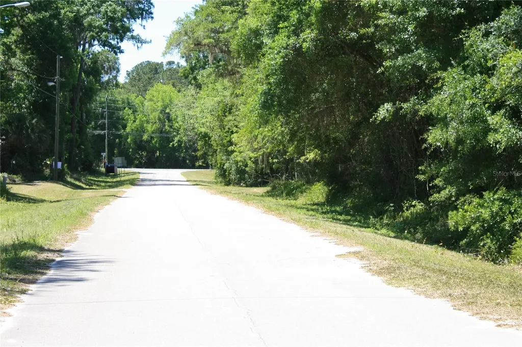 21646 NW 58th Court Micanopy FL 32667