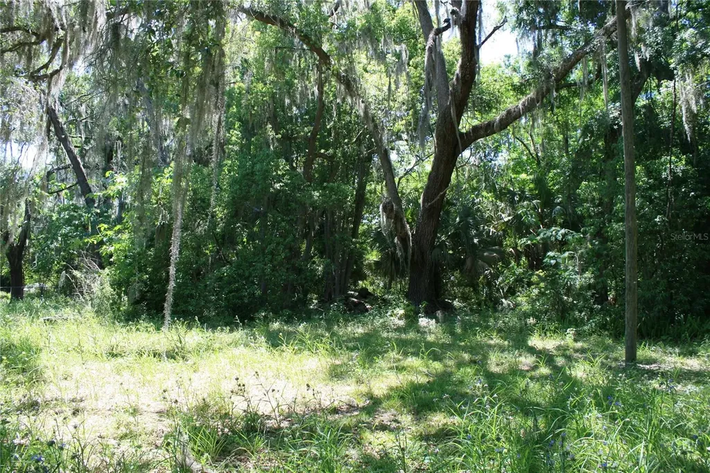 21646 NW 58th Court Micanopy FL 32667