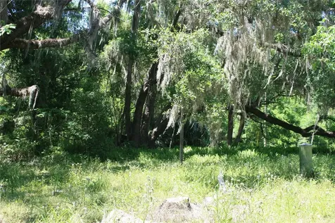 21646 NW 58th Court Micanopy FL 32667