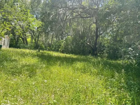 21646 NW 58th Court Micanopy FL 32667
