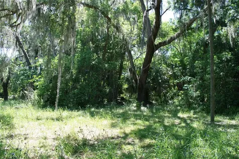 21646 NW 58th Court Micanopy FL 32667