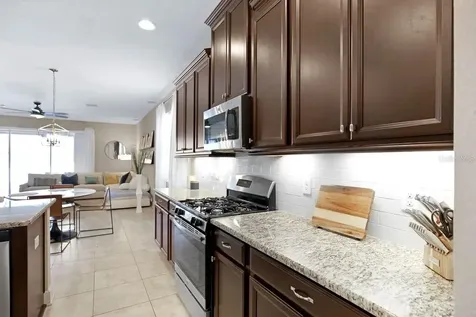 17525 Buckingham Garden Drive Lithia FL 33547