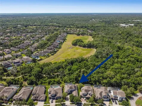 15515 Starling Crossing Drive Lithia FL 33547
