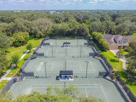15515 Starling Crossing Drive Lithia FL 33547
