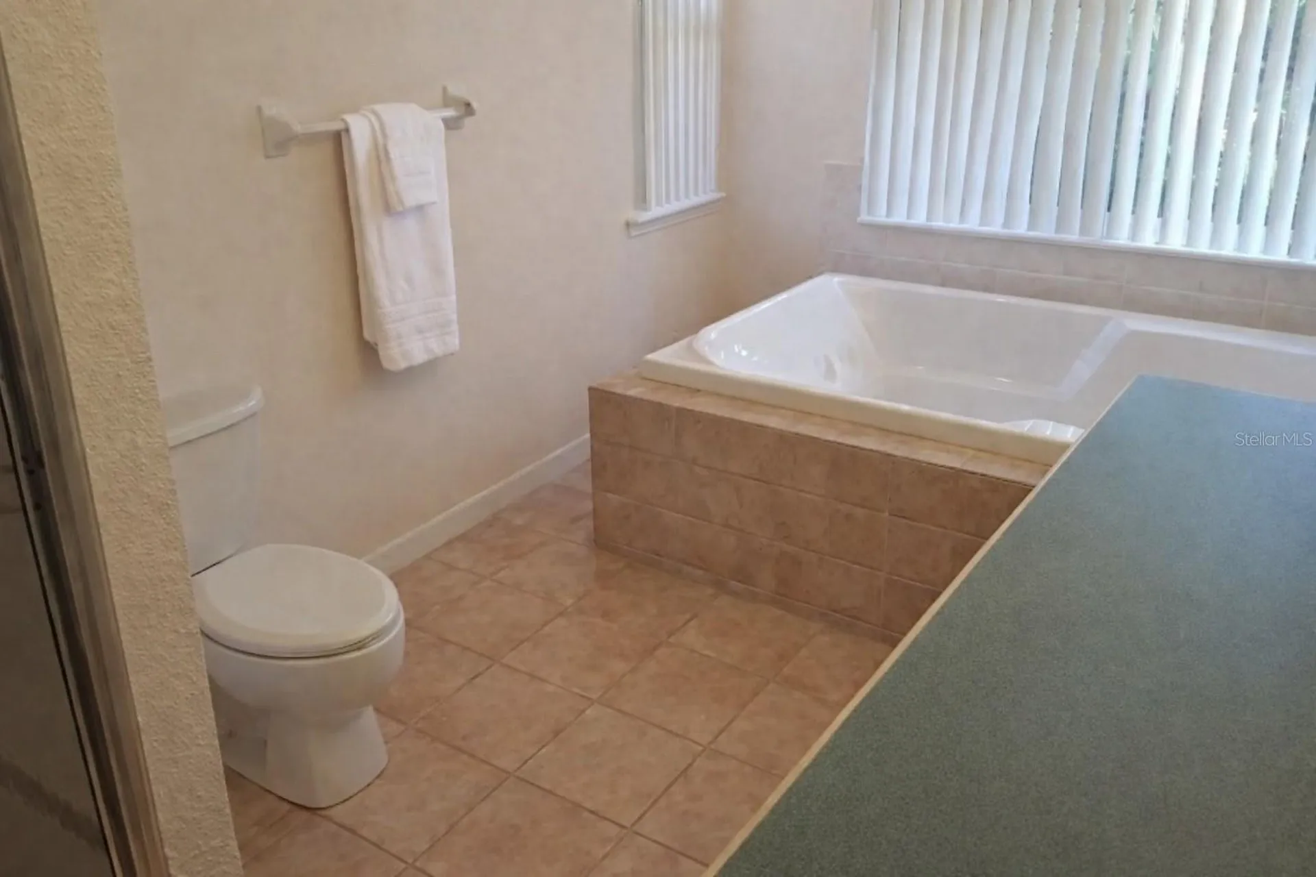 12624 Lake Denise Boulevard Clermont FL 34711
