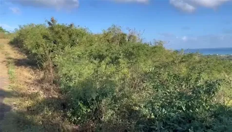 Comunidad Villa Borinquén Vieques PR 00765
