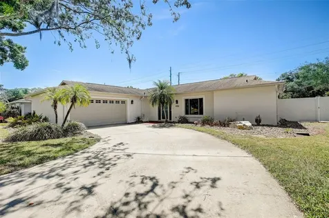 13228 Moran Drive Tampa FL 33618