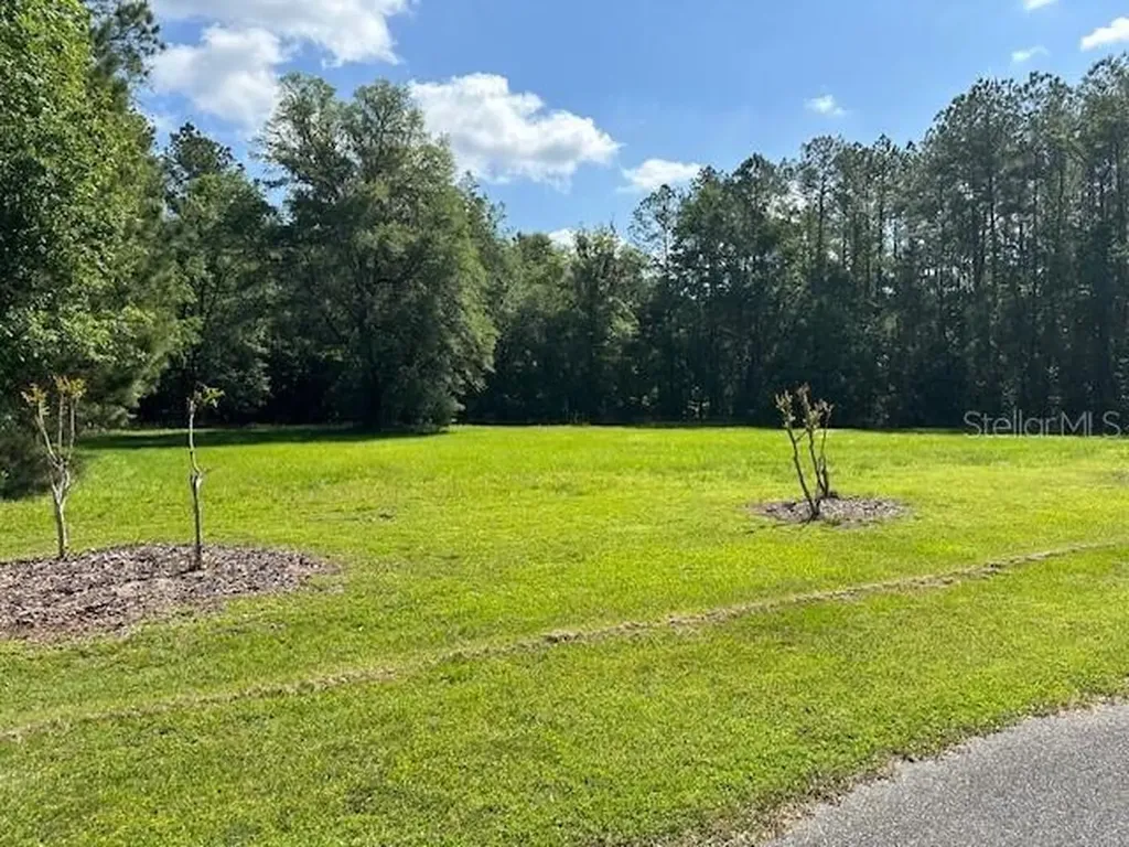 Parcel 1 Cr-18a Worthington Springs FL 32697