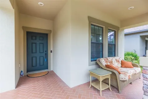 11821 Twilight Darner Place Riverview FL 33569