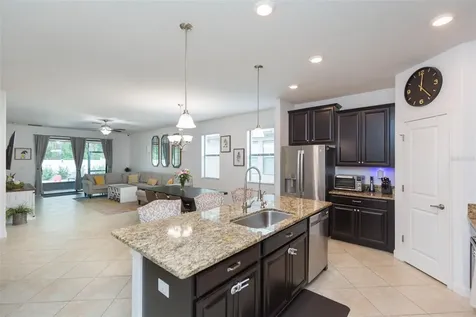 11821 Twilight Darner Place Riverview FL 33569