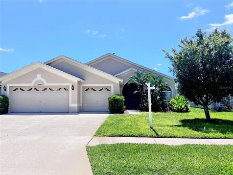 22744 Neff Court Land O Lakes FL 34639