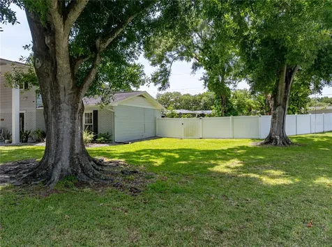4816 N Shirley Drive Tampa FL 33603