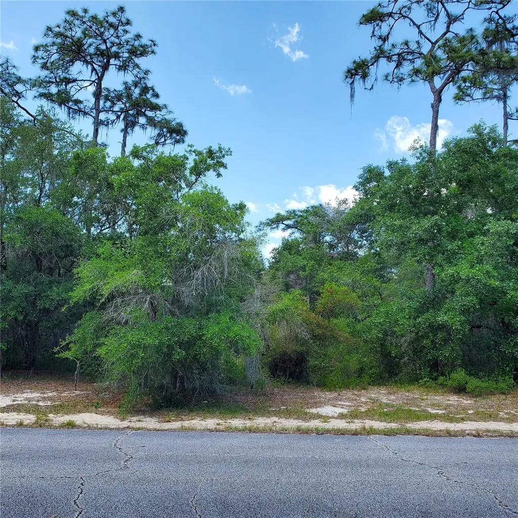 1345 Street Augustine Court Kissimmee FL 34759