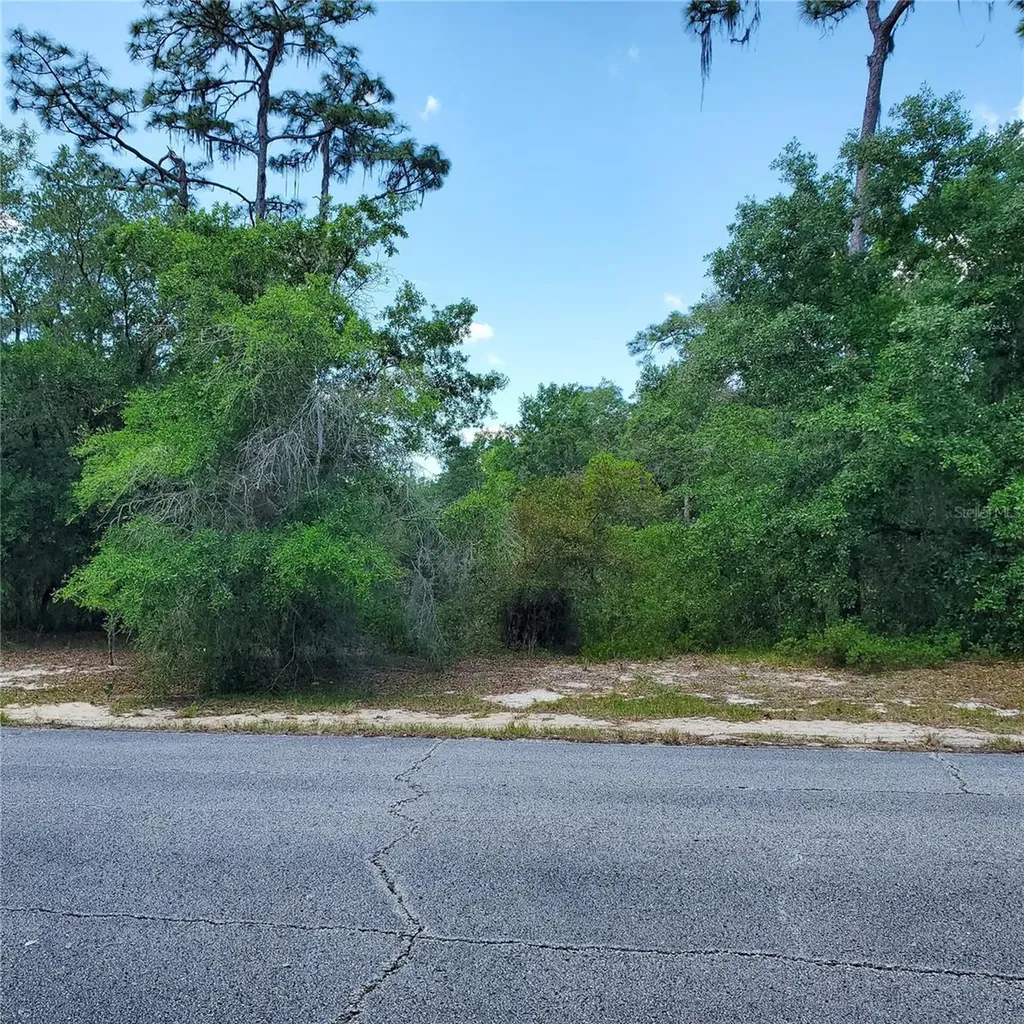1345 Street Augustine Court Kissimmee FL 34759