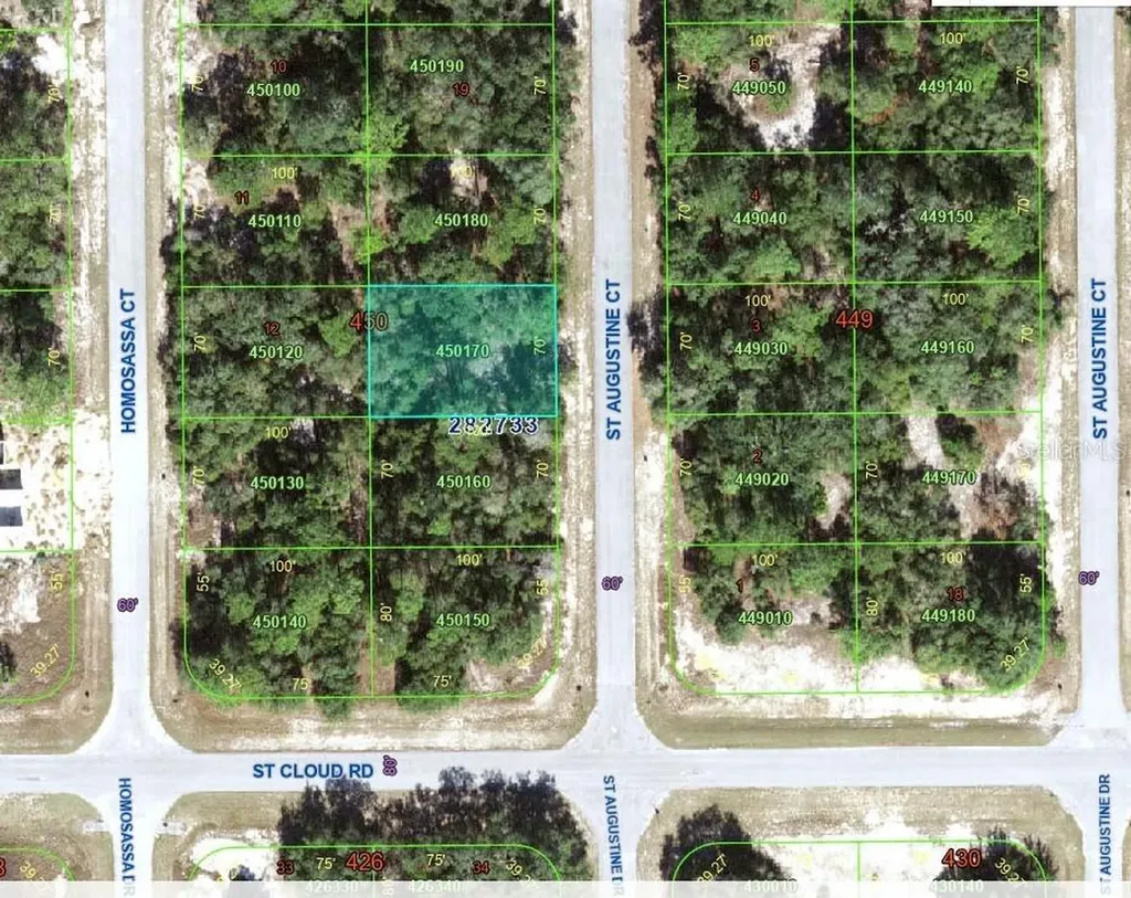 1345 Street Augustine Court Kissimmee FL 34759
