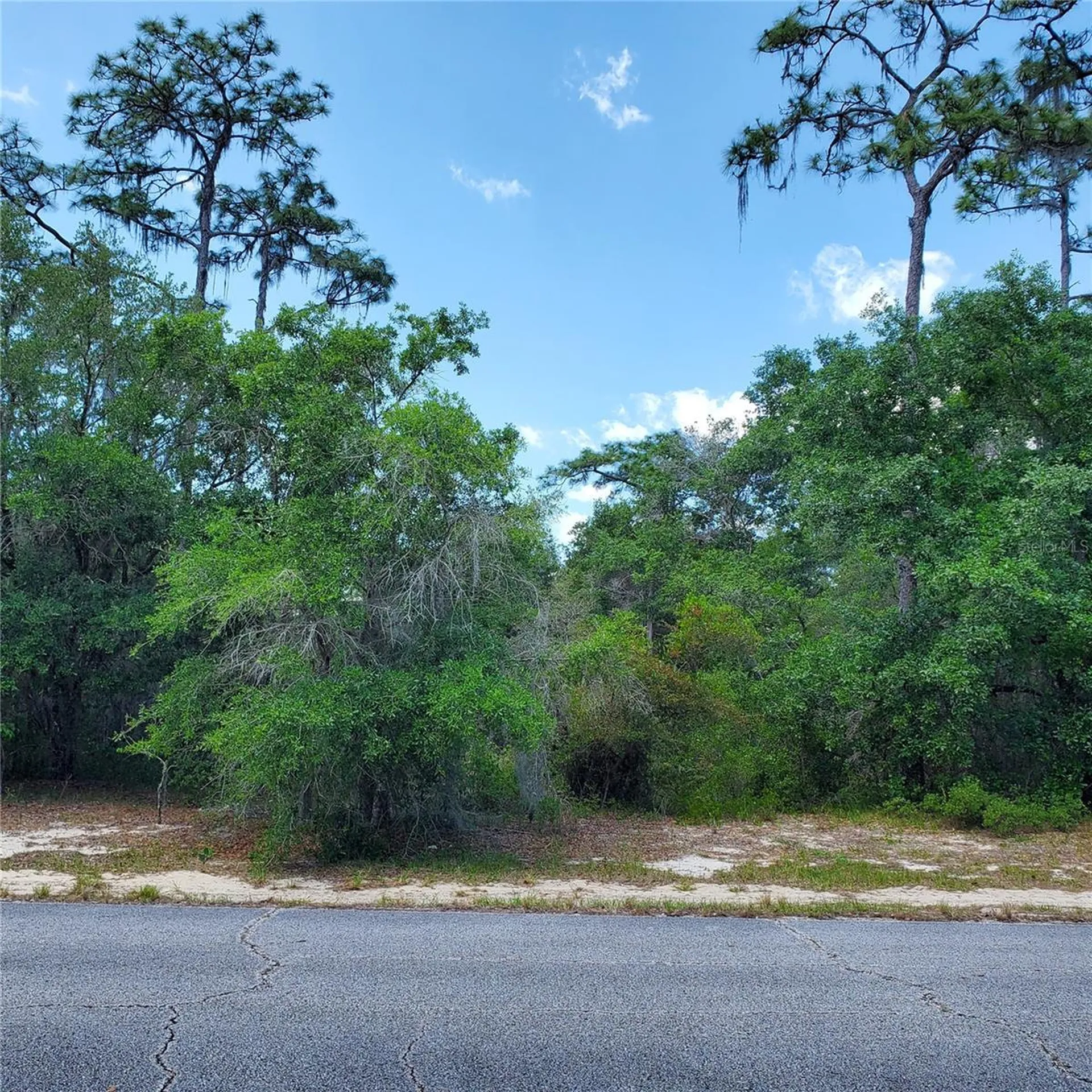 1345 Street Augustine Court Kissimmee FL 34759