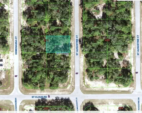 1345 Street Augustine Court Kissimmee FL 34759