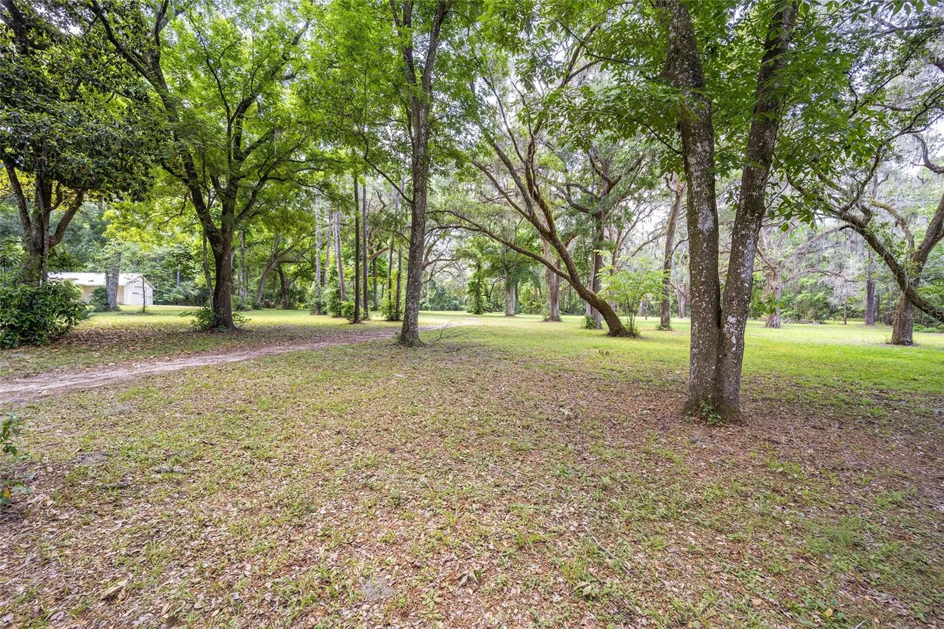 4850 SE 11th Avenue Ocala FL 34480
