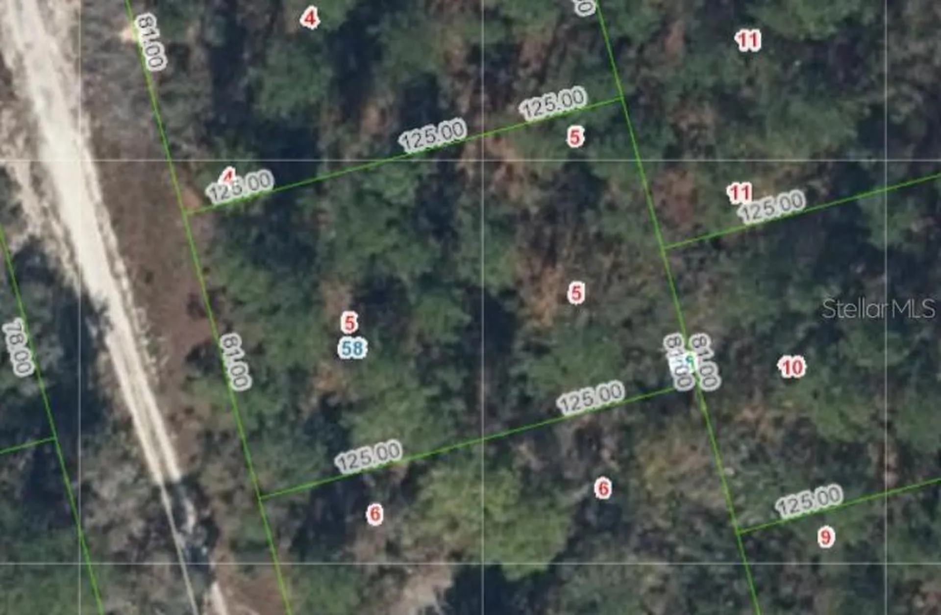 213 Imagination Drive Lake Placid FL 33852