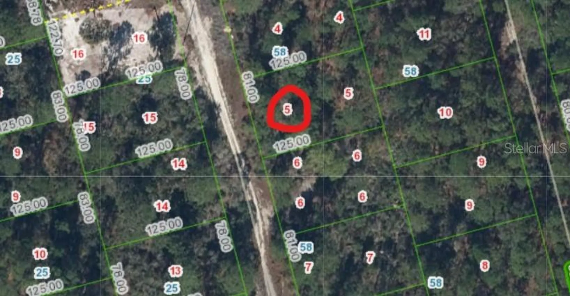 213 Imagination Drive Lake Placid FL 33852