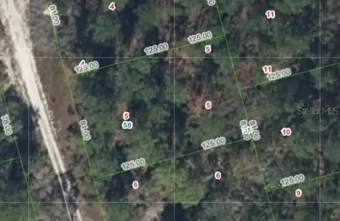 213 Imagination Drive Lake Placid FL 33852