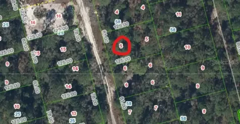 213 Imagination Drive Lake Placid FL 33852
