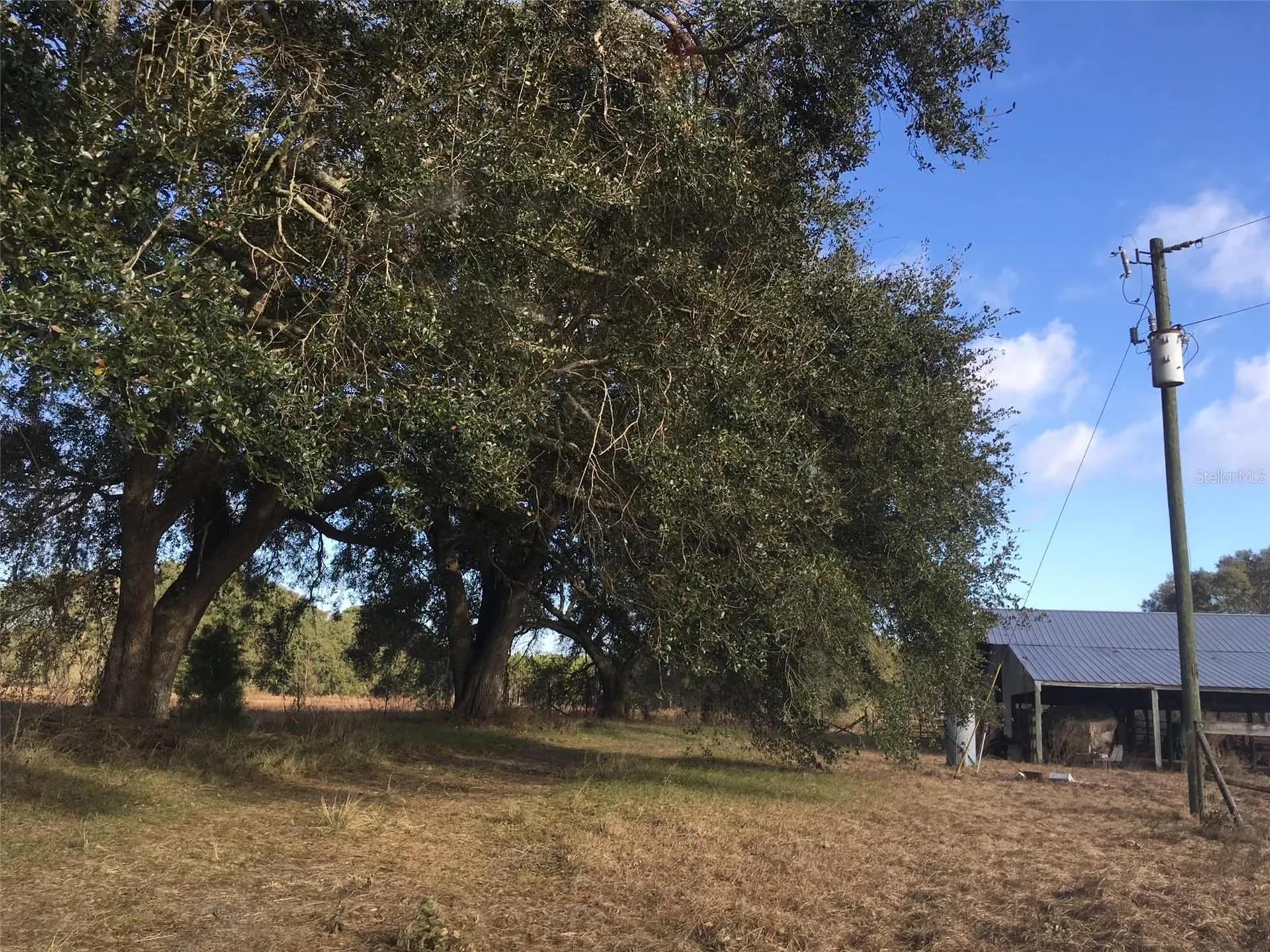 15589 104th Street Live Oak FL 32060