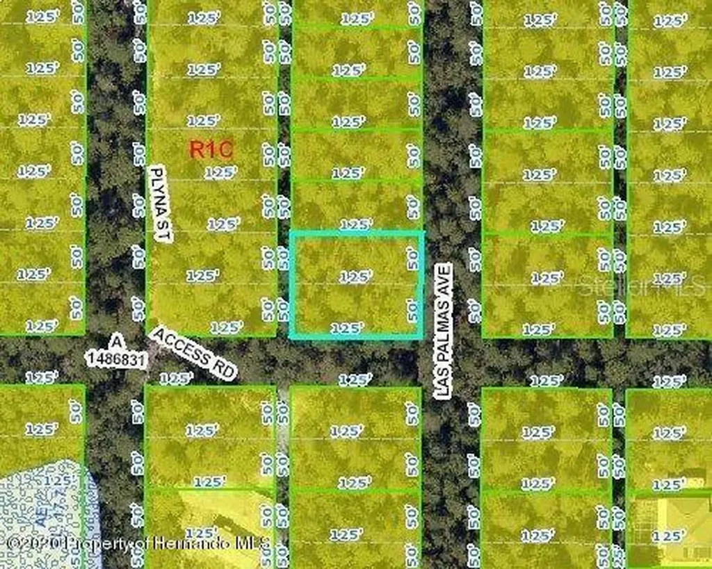 Las Palmas Avenue Spring Hill FL 34606