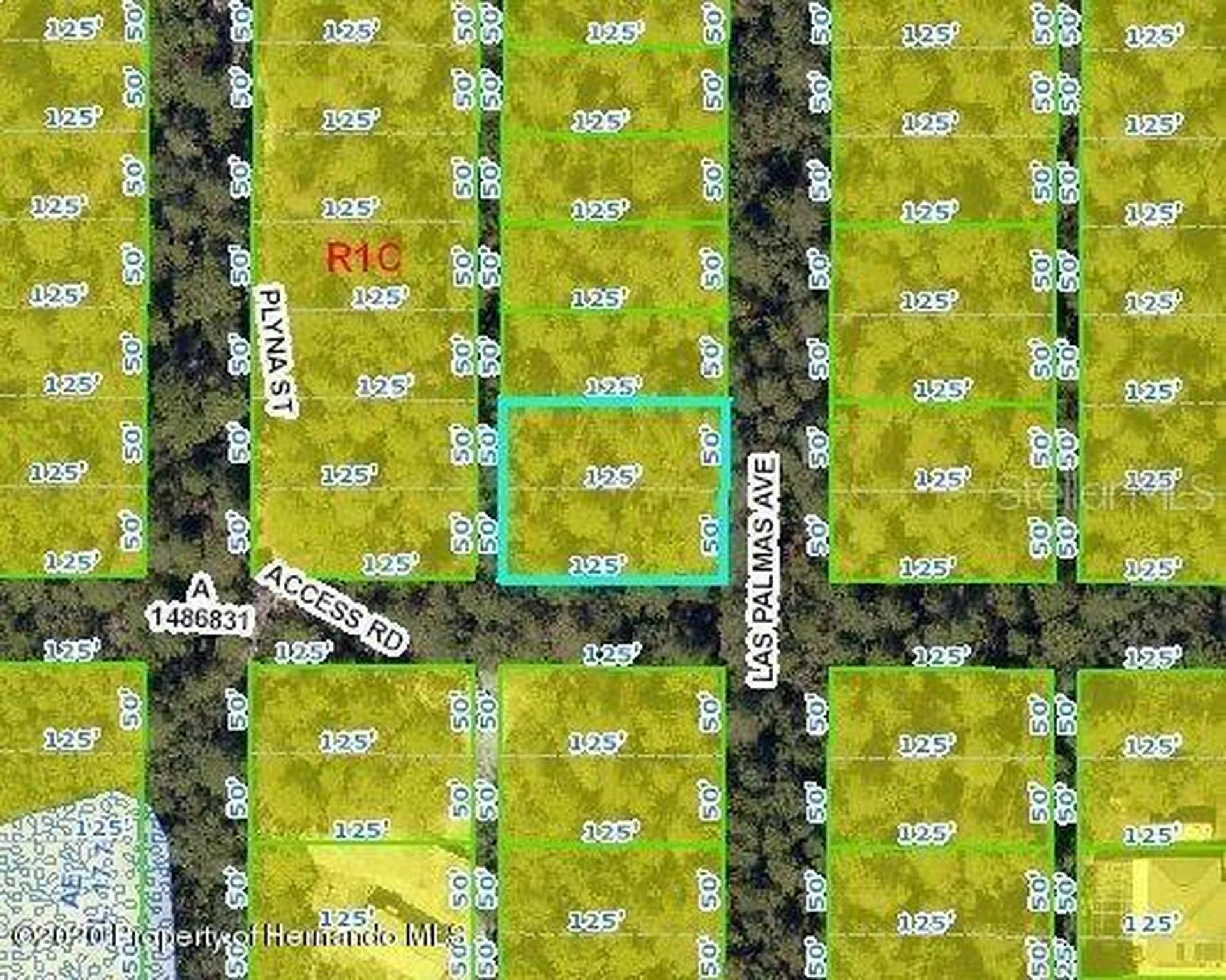 Las Palmas Avenue Spring Hill FL 34606