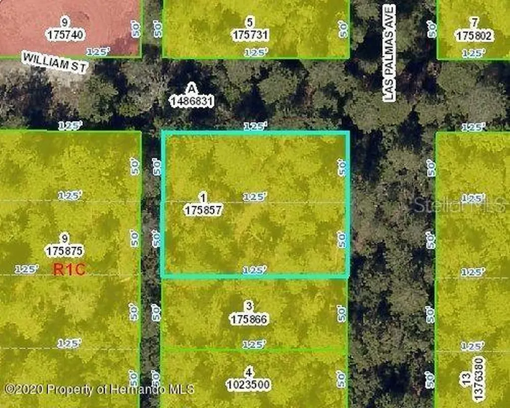 Las Palmas Avenue Spring Hill FL 34606