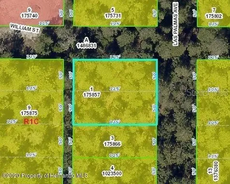 Las Palmas Avenue Spring Hill FL 34606