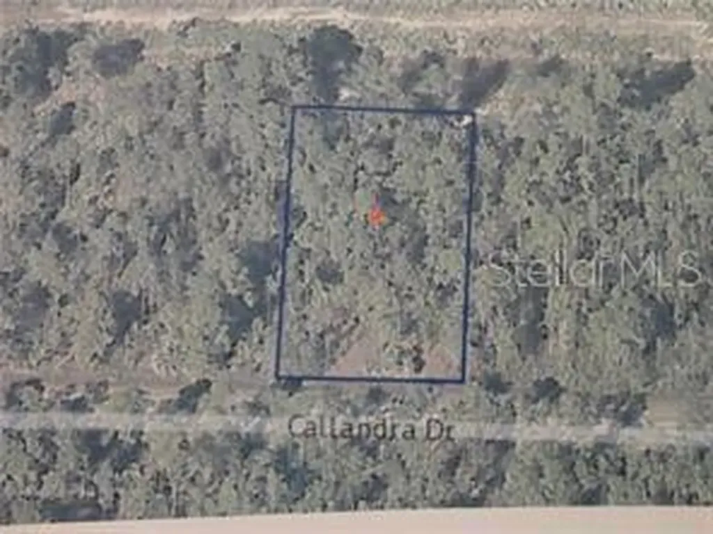 0 Calliandra Drive Indian Lake Estates FL 33855