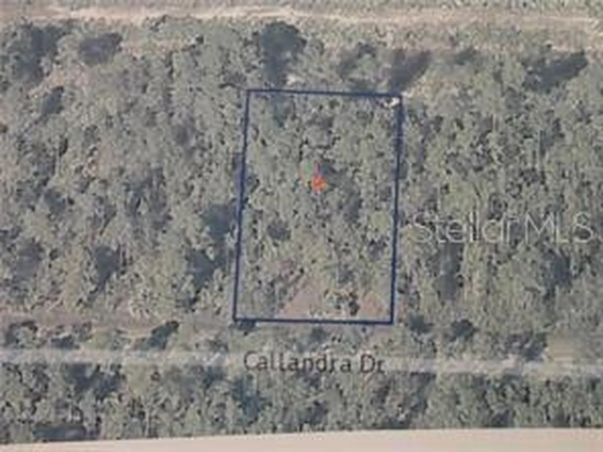 0 Calliandra Drive Indian Lake Estates FL 33855