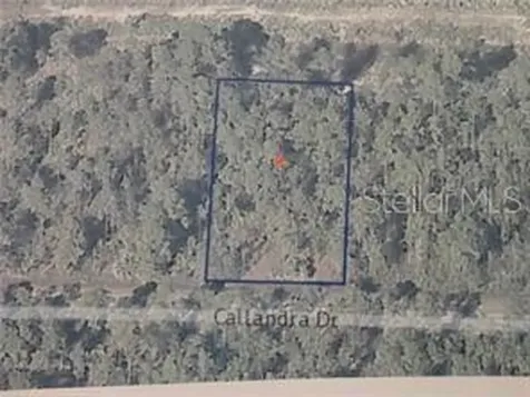 0 Calliandra Drive Indian Lake Estates FL 33855