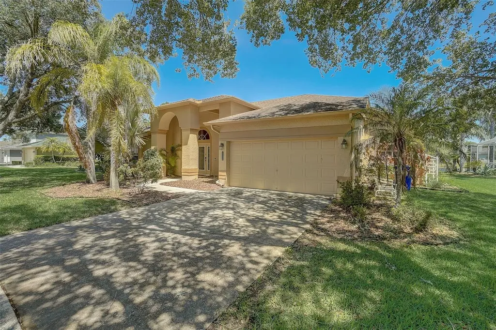 2463 Saddlewood Lane Palm Harbor FL 34685